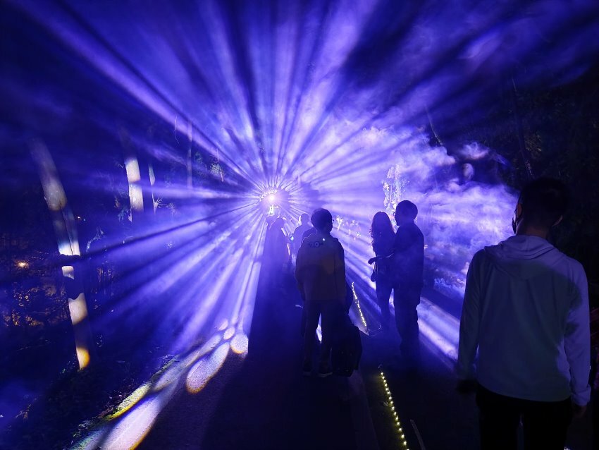 【2022埔里森林逐燈祭攻略】地母廟哲學之路五大展區、二大互動區，今年必遊的森林燈會!