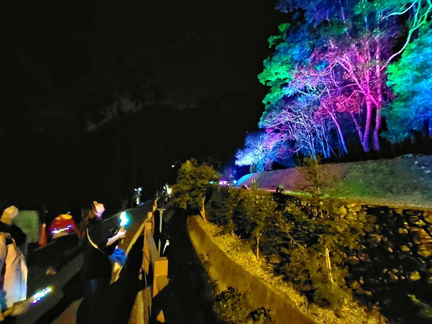 【2022埔里森林逐燈祭攻略】地母廟哲學之路五大展區、二大互動區，今年必遊的森林燈會!