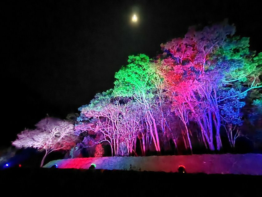 【2022埔里森林逐燈祭攻略】地母廟哲學之路五大展區、二大互動區，今年必遊的森林燈會!