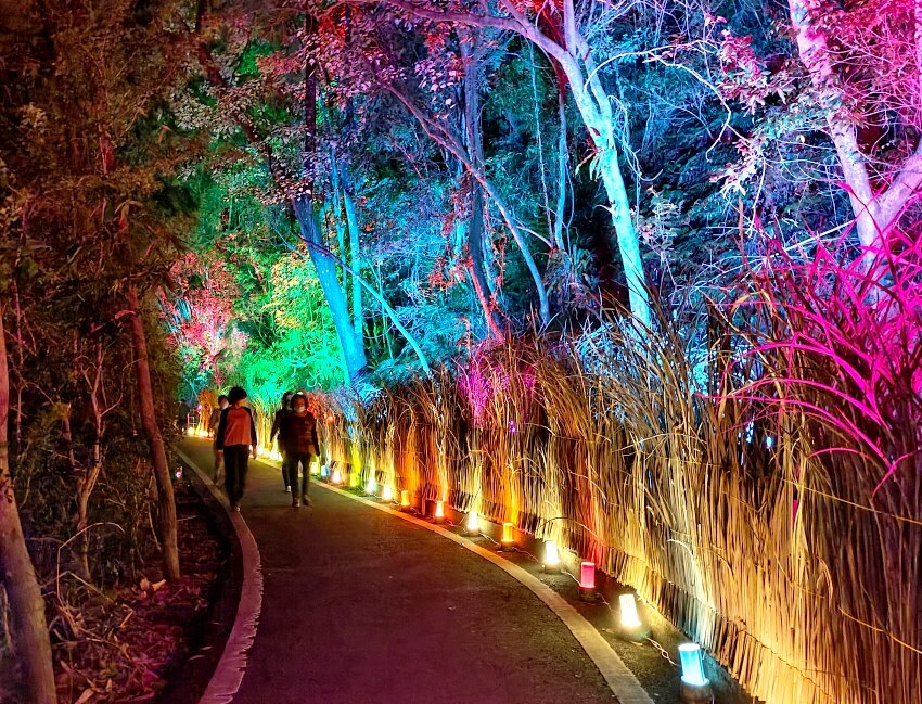 【2022埔里森林逐燈祭攻略】地母廟哲學之路五大展區、二大互動區，今年必遊的森林燈會!