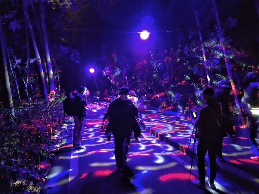 【2022埔里森林逐燈祭攻略】地母廟哲學之路五大展區、二大互動區，今年必遊的森林燈會!