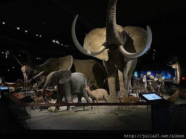 20220121_070406292_iOS