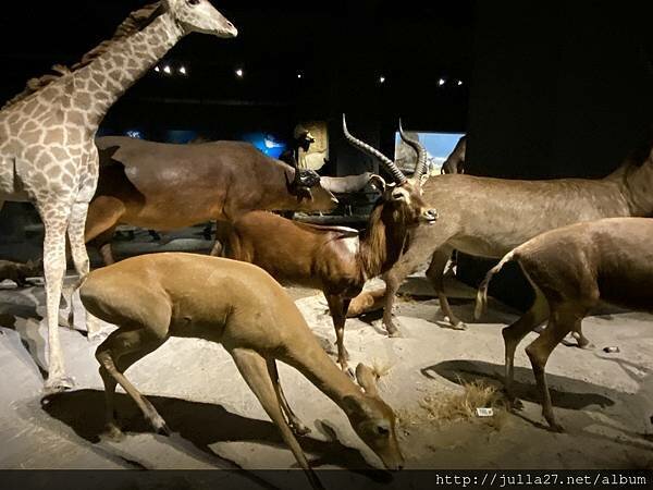 20220121_070652530_iOS