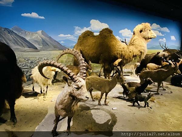 20220121_070858034_iOS