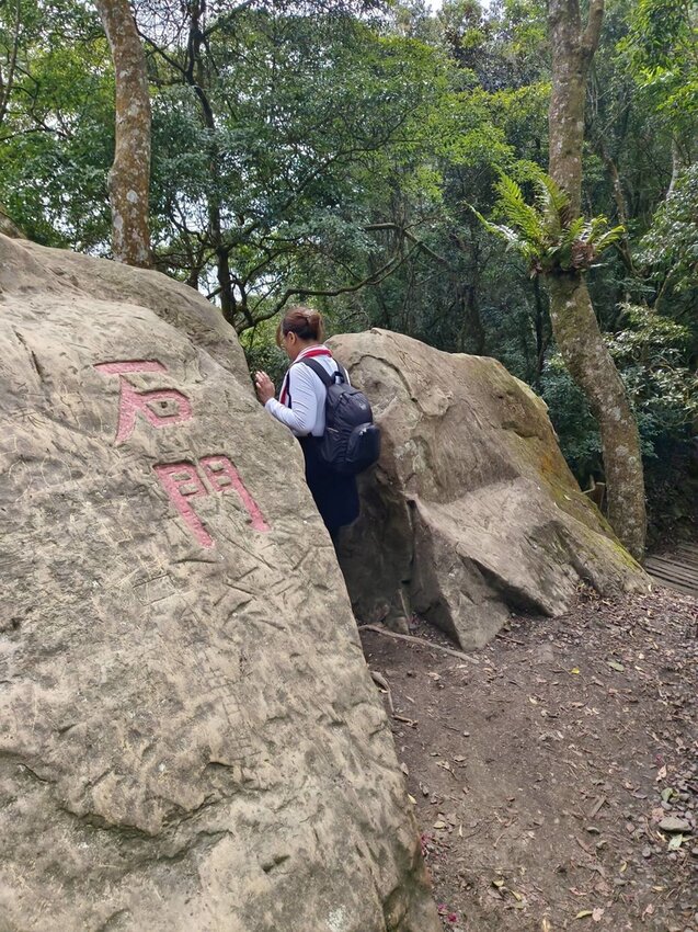 【苗栗.大湖】馬那邦山眺望聖陵線。二月限定雲海+杜鵑+櫻花小百岳no37