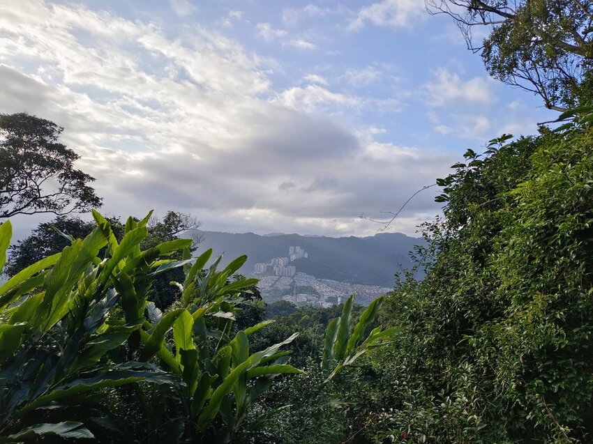 【新北.中和】小百岳no16南勢角山。標高302公尺烘爐地拜土地公+觀賞101夜景