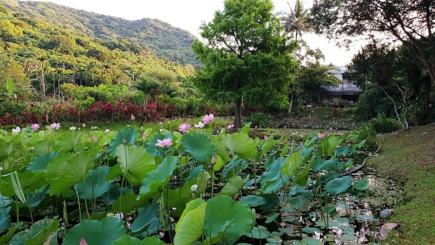 121506.jpg - 【花蓮.豐濱】後湖水月villa空中鏡面屋。可加人變四人房。寵物友善民宿大推日出美景