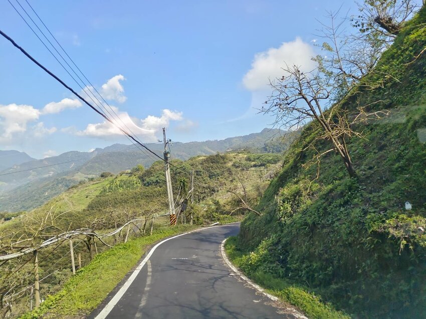 【苗栗.大湖】馬那邦山眺望聖陵線。二月限定雲海+杜鵑+櫻花小百岳no37