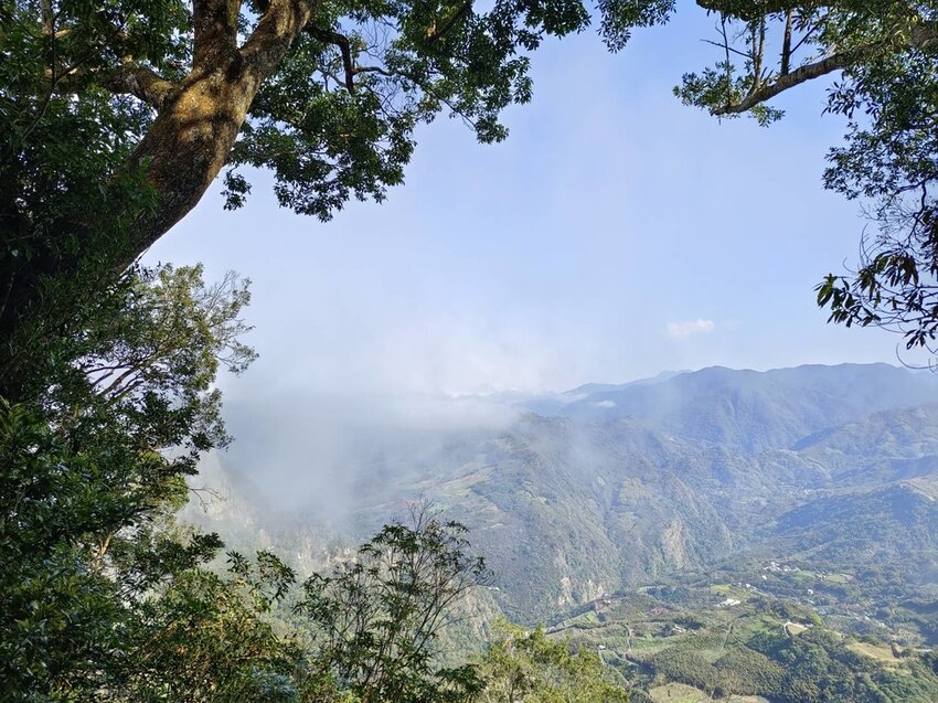 【苗栗.大湖】馬那邦山眺望聖陵線。二月限定雲海+杜鵑+櫻花小百岳no37