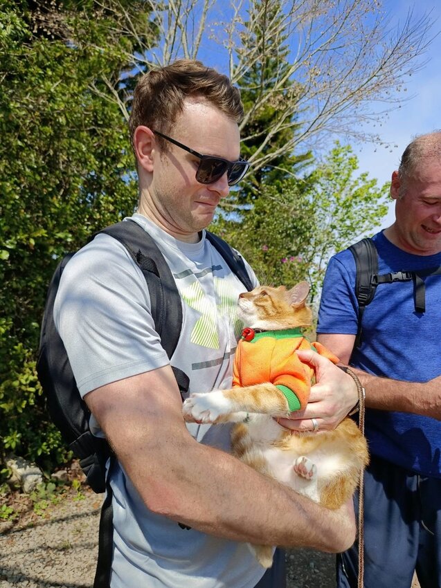 【苗栗.大湖】馬那邦山眺望聖陵線。二月限定雲海+杜鵑+櫻花小百岳no37