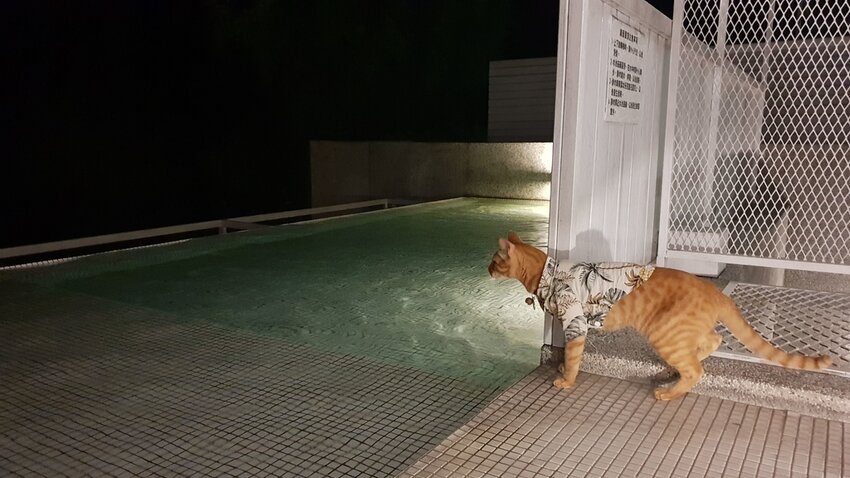 121512.jpg - 【花蓮.豐濱】後湖水月villa空中鏡面屋。可加人變四人房。寵物友善民宿大推日出美景