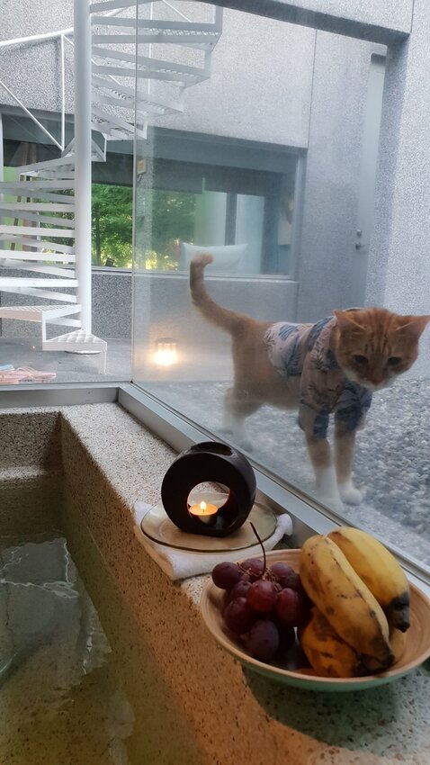 121499.jpg - 【花蓮.豐濱】後湖水月villa空中鏡面屋。可加人變四人房。寵物友善民宿大推日出美景