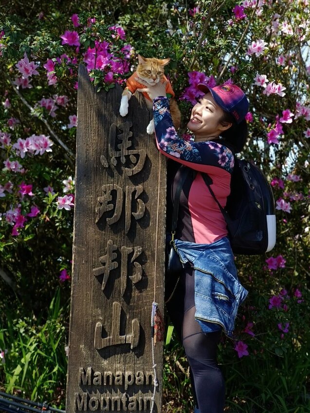 【苗栗.大湖】馬那邦山眺望聖陵線。二月限定雲海+杜鵑+櫻花小百岳no37