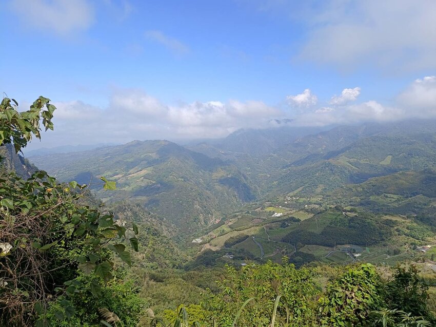 【苗栗.大湖】馬那邦山眺望聖陵線。二月限定雲海+杜鵑+櫻花小百岳no37