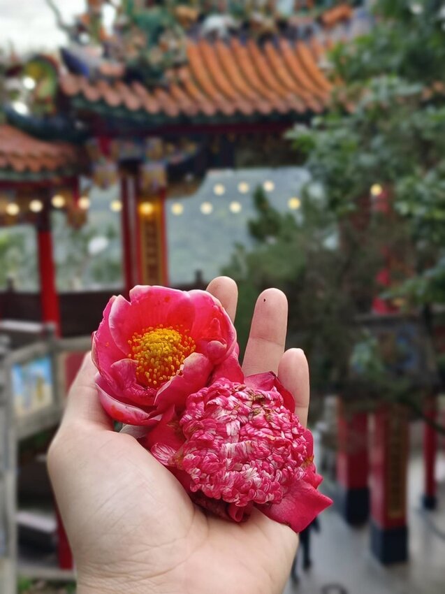 【新北.中和】小百岳no16南勢角山。標高302公尺烘爐地拜土地公+觀賞101夜景