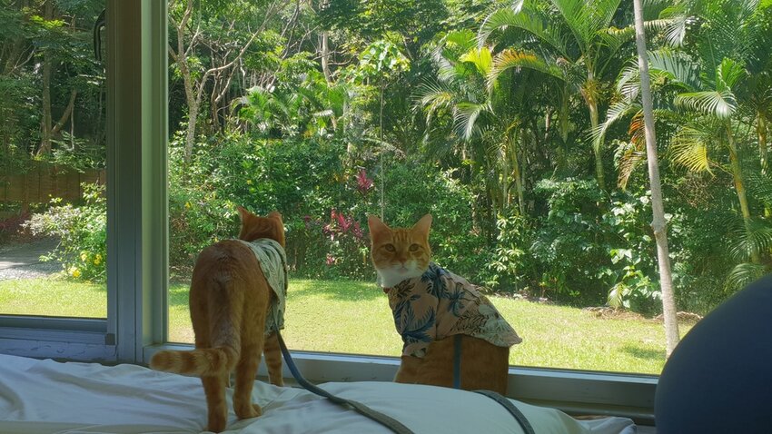 121487.jpg - 【花蓮.豐濱】後湖水月villa空中鏡面屋。可加人變四人房。寵物友善民宿大推日出美景