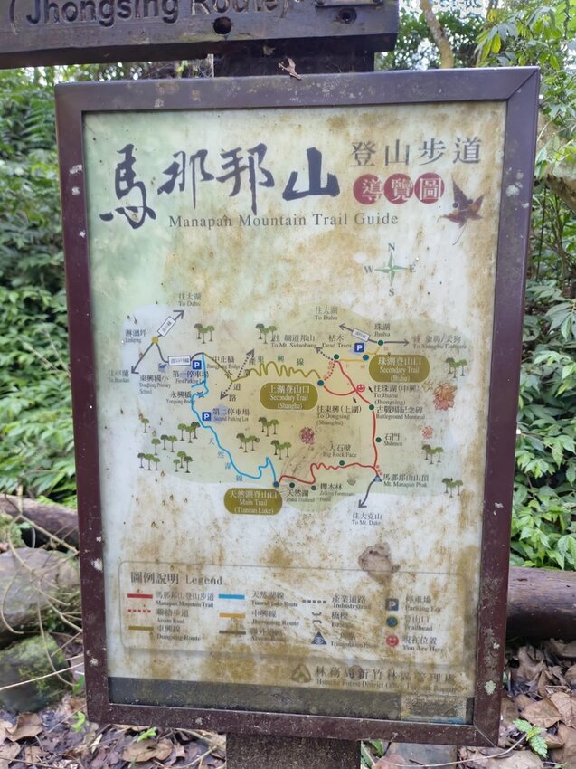 【苗栗.大湖】馬那邦山眺望聖陵線。二月限定雲海+杜鵑+櫻花小百岳no37