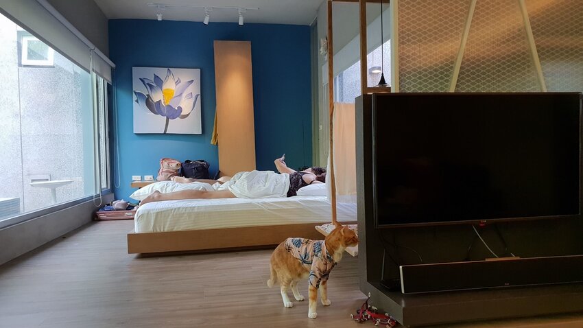 121498.jpg - 【花蓮.豐濱】後湖水月villa空中鏡面屋。可加人變四人房。寵物友善民宿大推日出美景