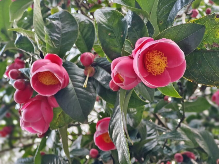 【新北.中和】小百岳no16南勢角山。標高302公尺烘爐地拜土地公+觀賞101夜景