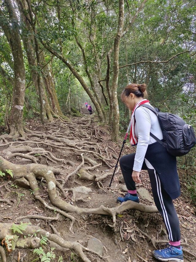 【苗栗.大湖】馬那邦山眺望聖陵線。二月限定雲海+杜鵑+櫻花小百岳no37