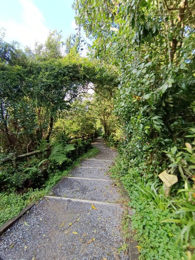 【新北.中和】小百岳no16南勢角山。標高302公尺烘爐地拜土地公+觀賞101夜景