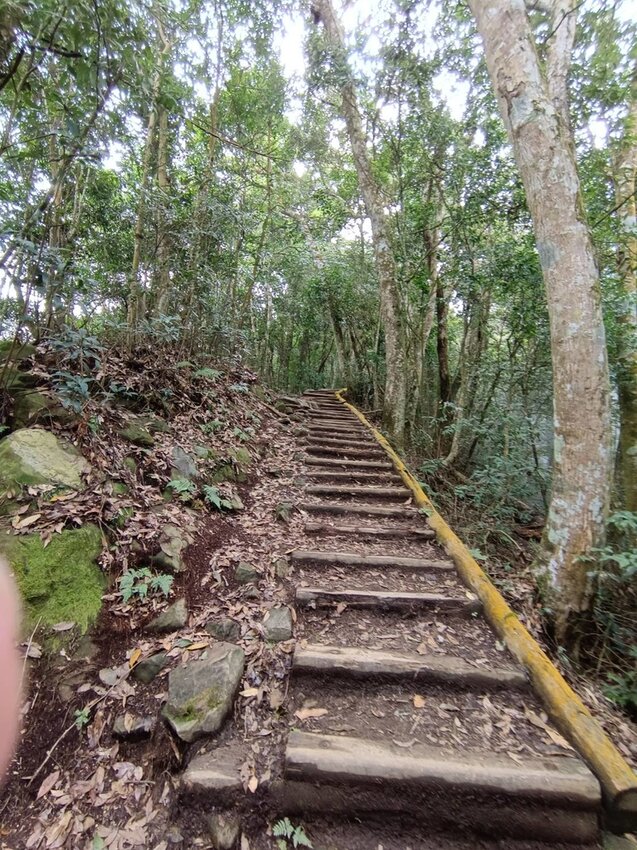 【苗栗.大湖】馬那邦山眺望聖陵線。二月限定雲海+杜鵑+櫻花小百岳no37