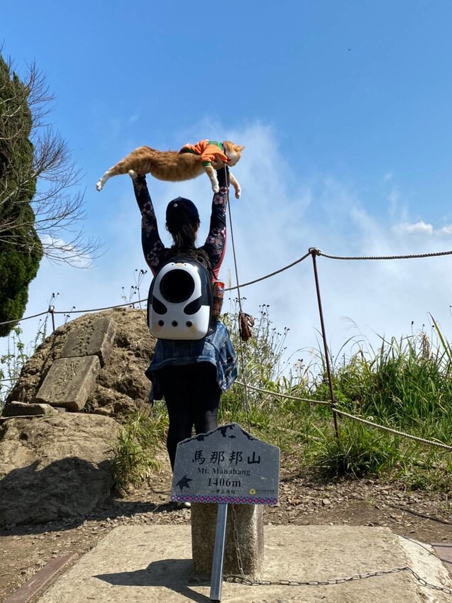 【苗栗.大湖】馬那邦山眺望聖陵線。二月限定雲海+杜鵑+櫻花小百岳no37