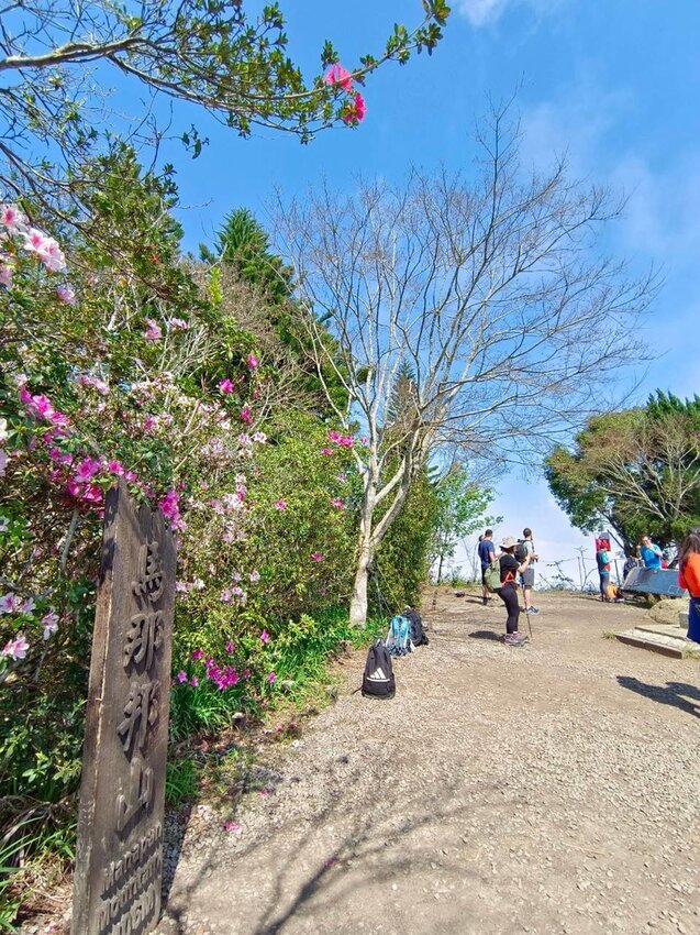 【苗栗.大湖】馬那邦山眺望聖陵線。二月限定雲海+杜鵑+櫻花小百岳no37