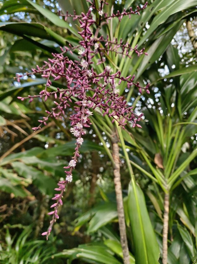 【新北.中和】小百岳no16南勢角山。標高302公尺烘爐地拜土地公+觀賞101夜景