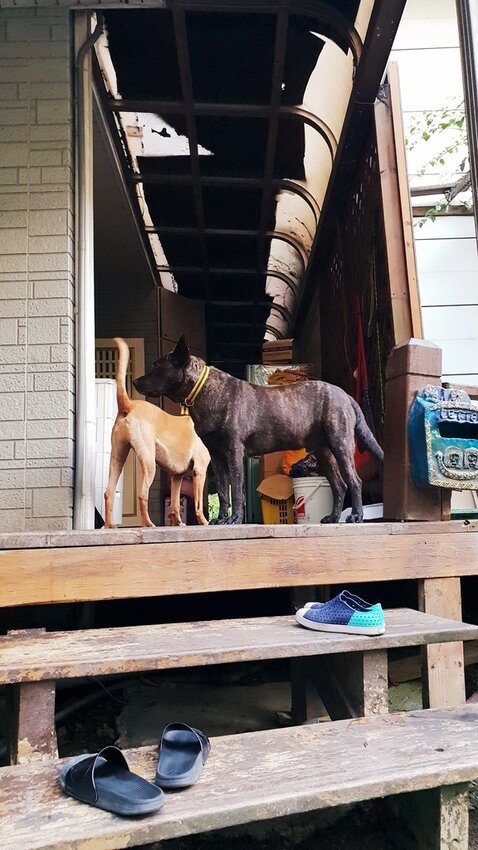 121507.jpg - 【花蓮.豐濱】後湖水月villa空中鏡面屋。可加人變四人房。寵物友善民宿大推日出美景