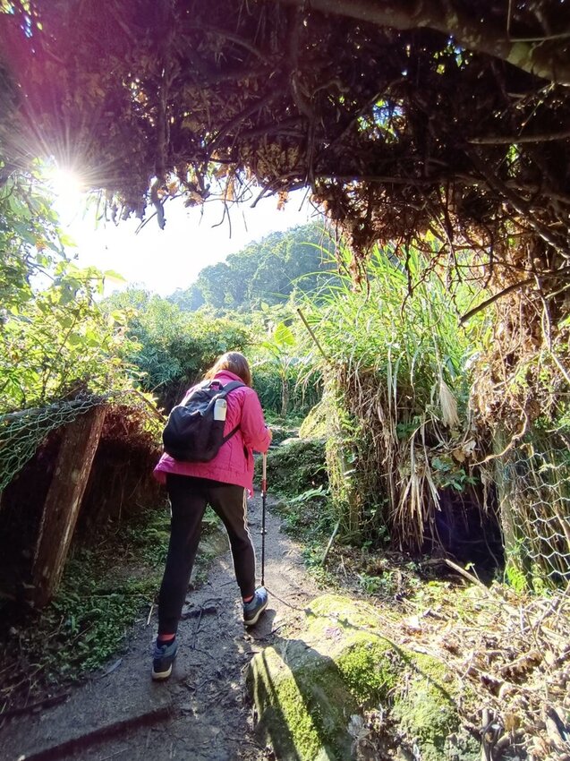 【苗栗.大湖】馬那邦山眺望聖陵線。二月限定雲海+杜鵑+櫻花小百岳no37