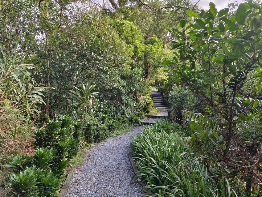 【新北.中和】小百岳no16南勢角山。標高302公尺烘爐地拜土地公+觀賞101夜景