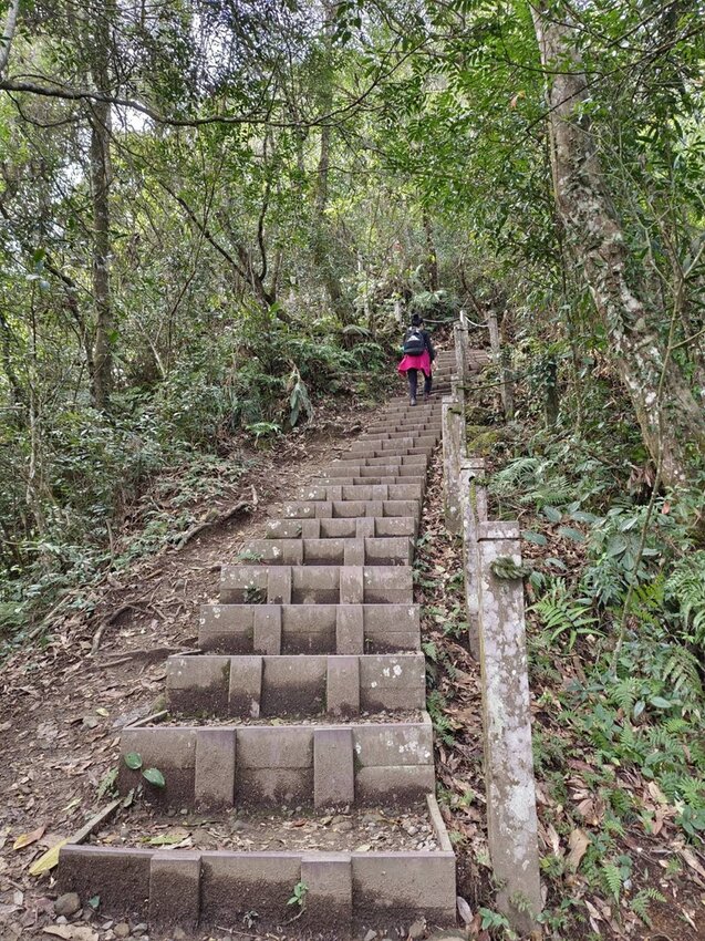 【苗栗.大湖】馬那邦山眺望聖陵線。二月限定雲海+杜鵑+櫻花小百岳no37