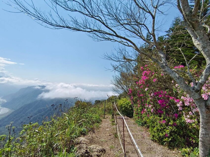 【苗栗.大湖】馬那邦山眺望聖陵線。二月限定雲海+杜鵑+櫻花小百岳no37