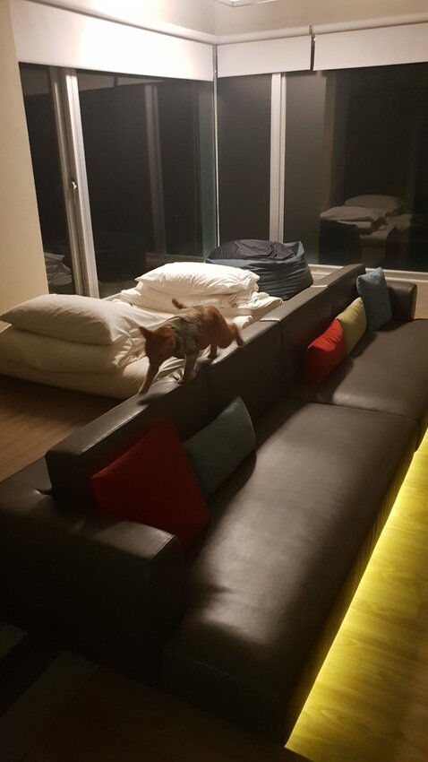 121529.jpg - 【花蓮.豐濱】後湖水月villa空中鏡面屋。可加人變四人房。寵物友善民宿大推日出美景