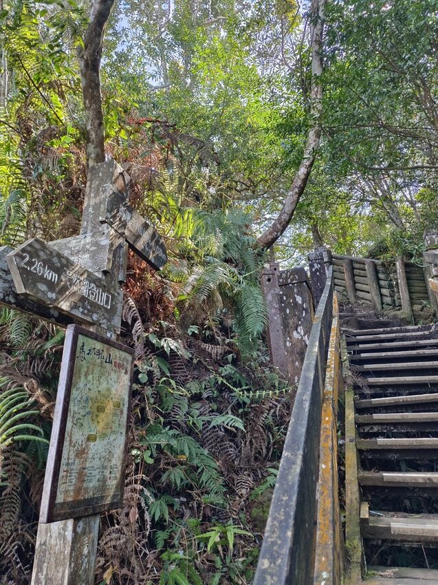 【苗栗.大湖】馬那邦山眺望聖陵線。二月限定雲海+杜鵑+櫻花小百岳no37