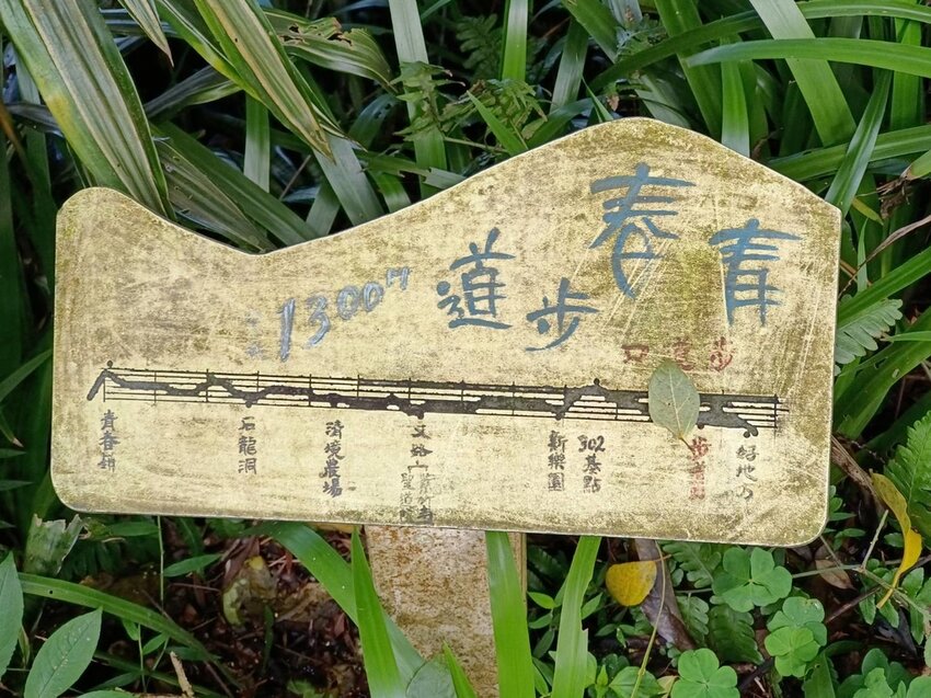 【新北.中和】小百岳no16南勢角山。標高302公尺烘爐地拜土地公+觀賞101夜景