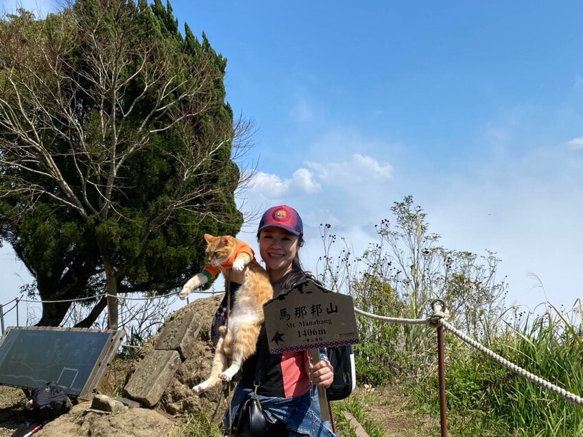 【苗栗.大湖】馬那邦山眺望聖陵線。二月限定雲海+杜鵑+櫻花小百岳no37