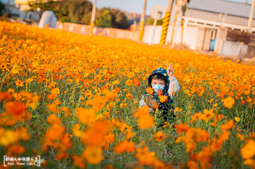 秀水冬季限定一日遊｜遊花海、逛觀光工廠，平價美食吃到飽～
