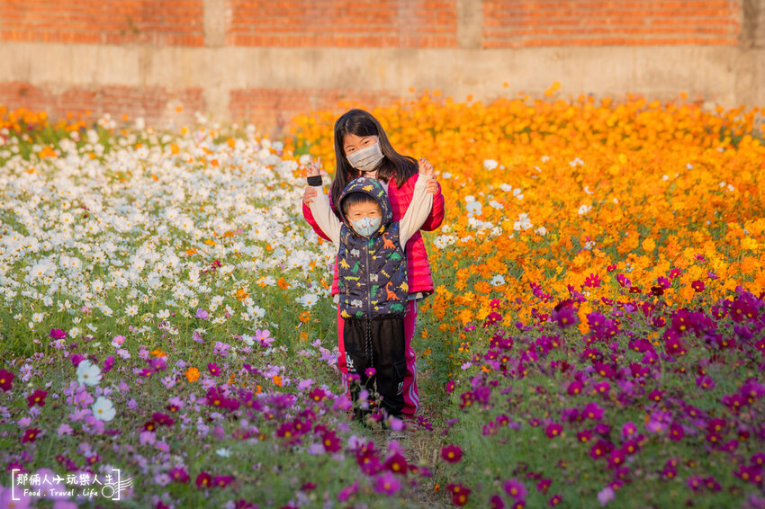 秀水冬季限定一日遊｜遊花海、逛觀光工廠，平價美食吃到飽～