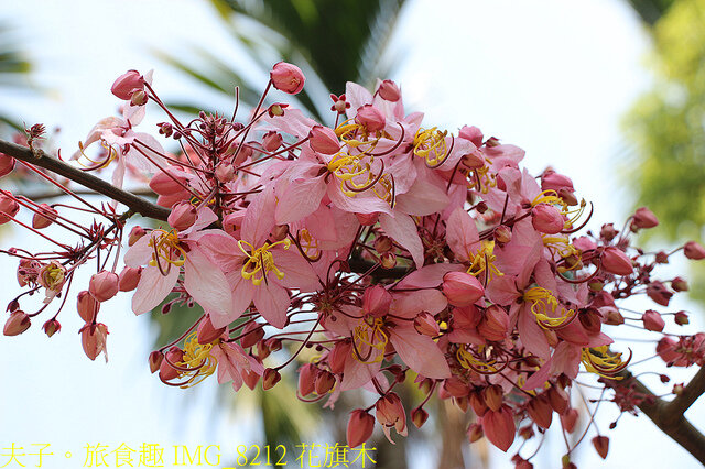 苗栗好湯山海戀 享沐時光莊園渡假酒店 X 南庄雲水渡假森林