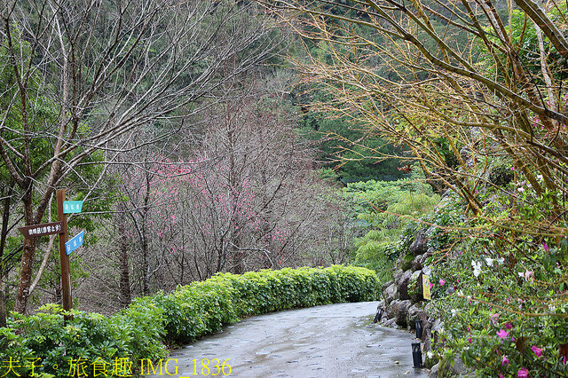 IMG_1836.jpg - 南庄雲水度假森林 20220214