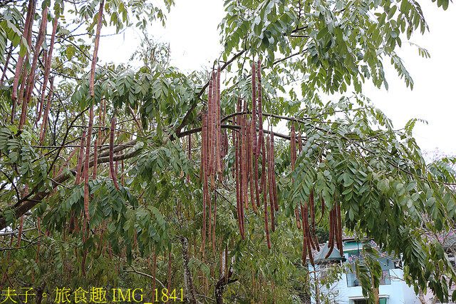 IMG_1841.jpg - 南庄雲水度假森林 20220214