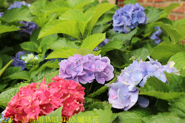 苗栗好湯山海戀 享沐時光莊園渡假酒店 X 南庄雲水渡假森林