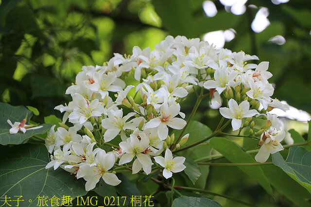 苗栗好湯山海戀 享沐時光莊園渡假酒店 X 南庄雲水渡假森林