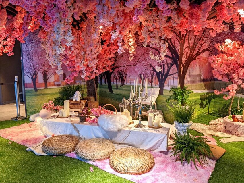 春遊101賞花季｜89樓雲端上的野餐秘境！網美信義新拍照景點！日式櫻花雨與波希米亞渡假風的完美結合！台北旅遊推薦、台北景點推薦、信義旅遊推薦 - 佛系旅遊筆記