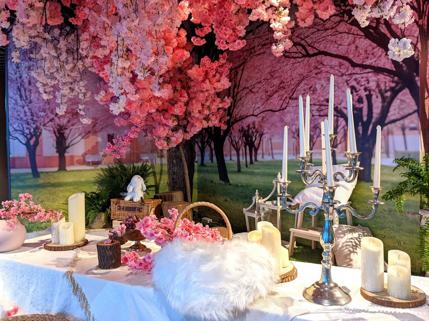 春遊101賞花季｜89樓雲端上的野餐秘境！網美信義新拍照景點！日式櫻花雨與波希米亞渡假風的完美結合！台北旅遊推薦、台北景點推薦、信義旅遊推薦 - 佛系旅遊筆記