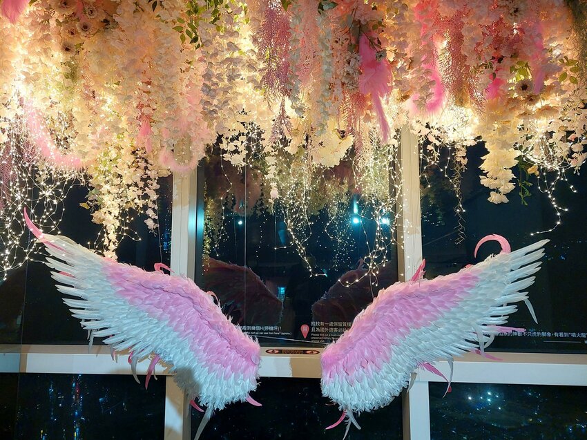 春遊101賞花季｜89樓雲端上的野餐秘境！網美信義新拍照景點！日式櫻花雨與波希米亞渡假風的完美結合！台北旅遊推薦、台北景點推薦、信義旅遊推薦 - 佛系旅遊筆記