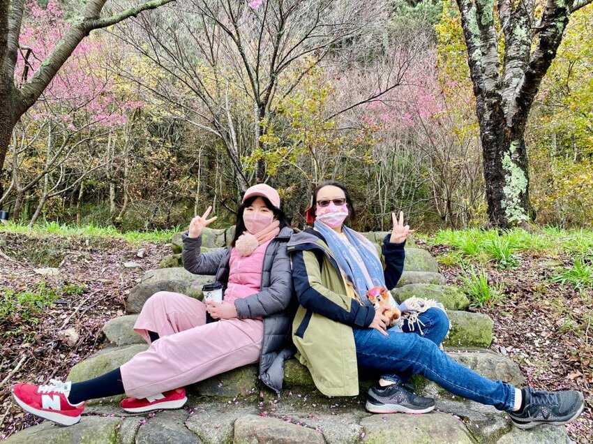 【2022武陵櫻花季】 ~ 浪漫的季節 偽出國雪霸國家公園賞櫻 粉粉櫻花紛紛飛，誰與爭鋒 !!
