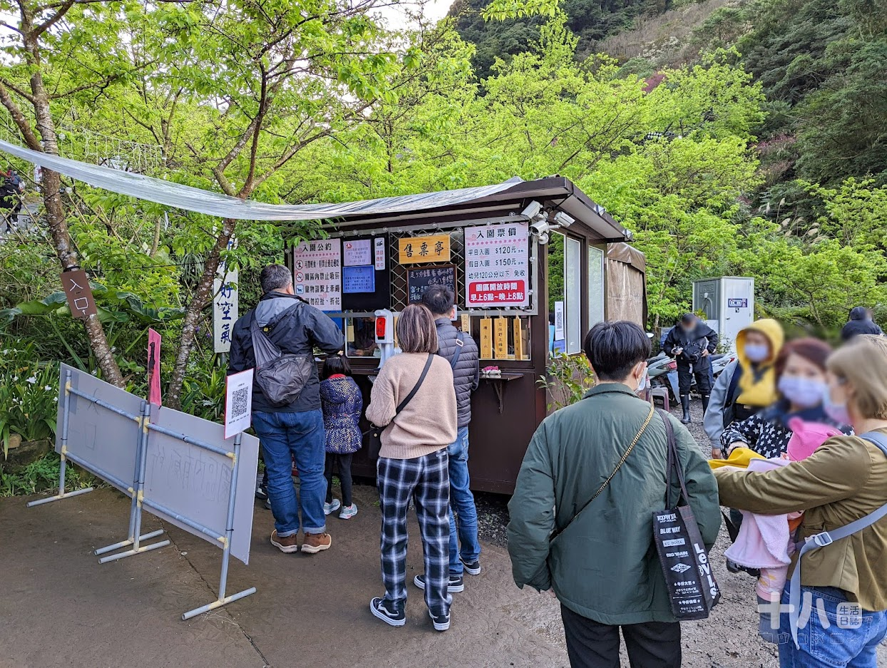 【三峽旅遊】大熊櫻花林｜二訪新北賞櫻私房景點、多種櫻花陸續綻放中！